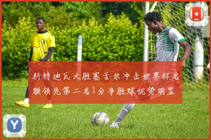 科特迪瓦大胜塞舌尔冲击世界杯名额领先第二名1分净胜球优势明显